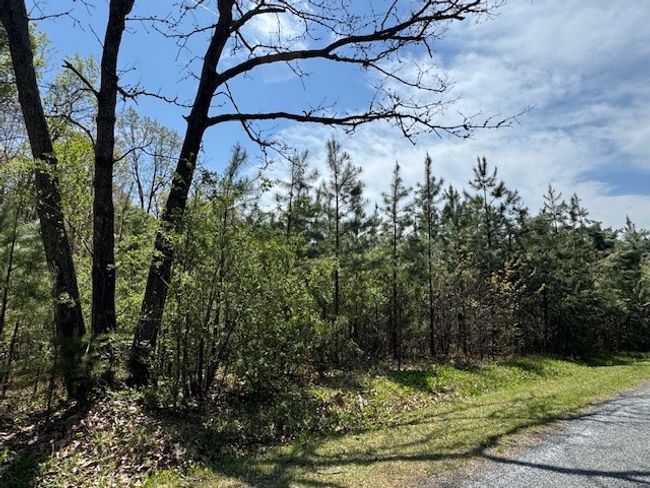 7 - 7 Spencer Rd, Home with 0 bedrooms, 0 bathrooms and null parking in Concord VA | Image 5