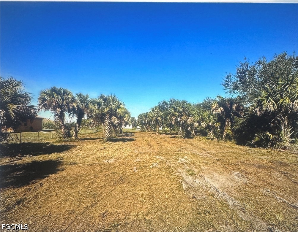 Land in Naples 3