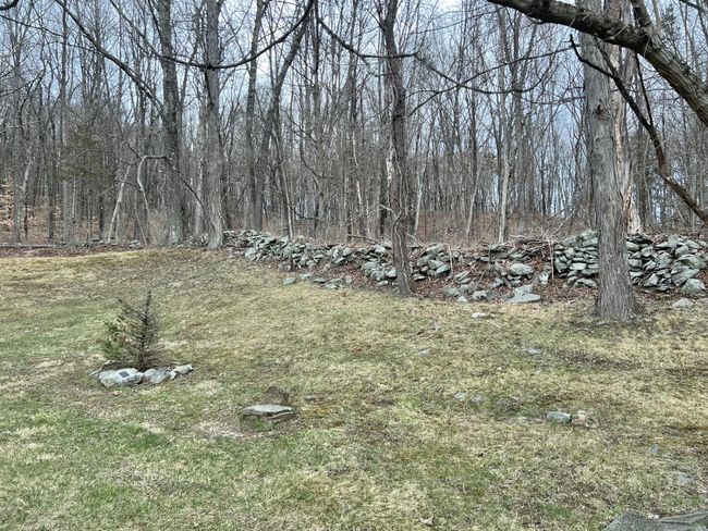 View of yard featuring a view of trees | Image 7