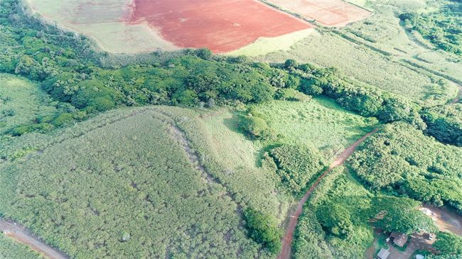 A-1 - 0000 Kamehameha Hwy, Home with 0 bedrooms, 0 bathrooms and null parking in Haleiwa HI | Image 14
