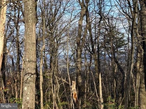 Lot 162 Bobcat Trl, WINCHESTER, VA, 22602 | Card Image
