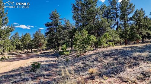 Lot 5124 Arikara Trail, Hartsel, CO, 80449 | Card Image