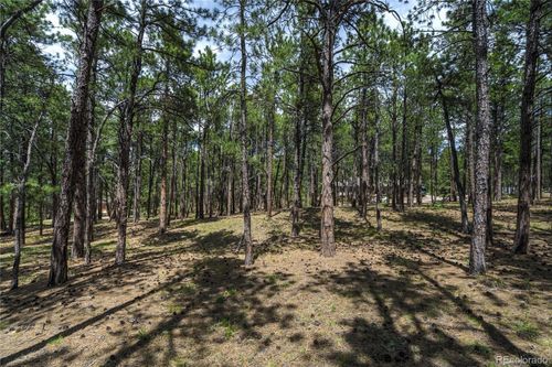 17960 Smugglers Rd, Monument, CO, 80132-7421 | Card Image