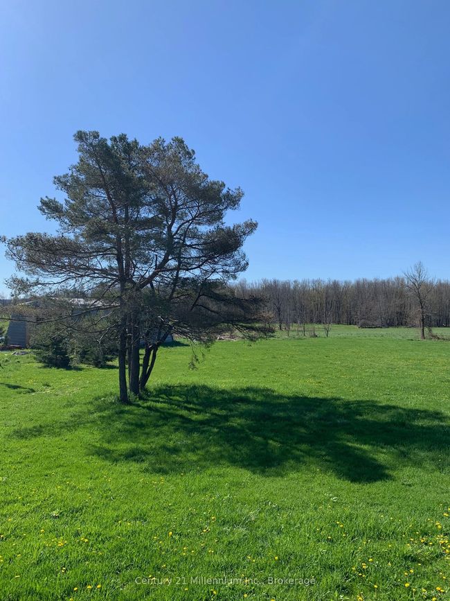 264094 Sideroad 24, Home with 2 bedrooms, 2 bathrooms and 5 parking in Municipality Of Meaford ON | Image 7