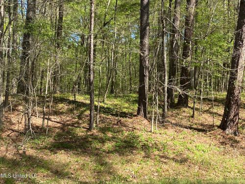 0000 Adams Station Rd, Edwards, MS, 39066 | Card Image