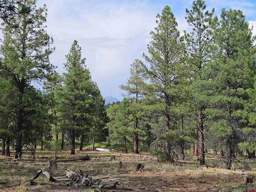 155 Monterosa Ct, Pagosa Springs, CO, 81147 | Card Image