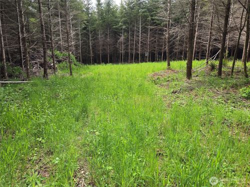 7 Beaver Hill Ln, Montesano, WA, 98563-9379 | Card Image
