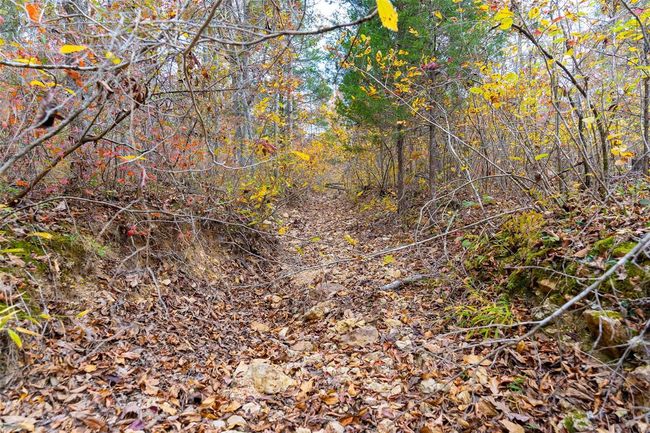 5 - 0 Highway Jj, Home with 0 bedrooms, 0 bathrooms and null parking in Marquand MO | Image 29