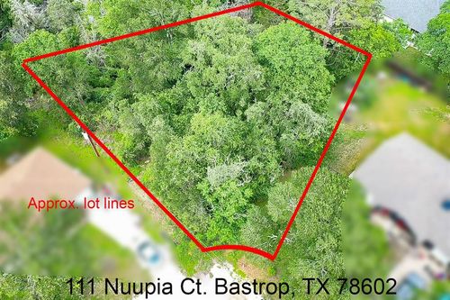 111 Nuupia Ct, Bastrop, TX, 78602-5314 | Card Image