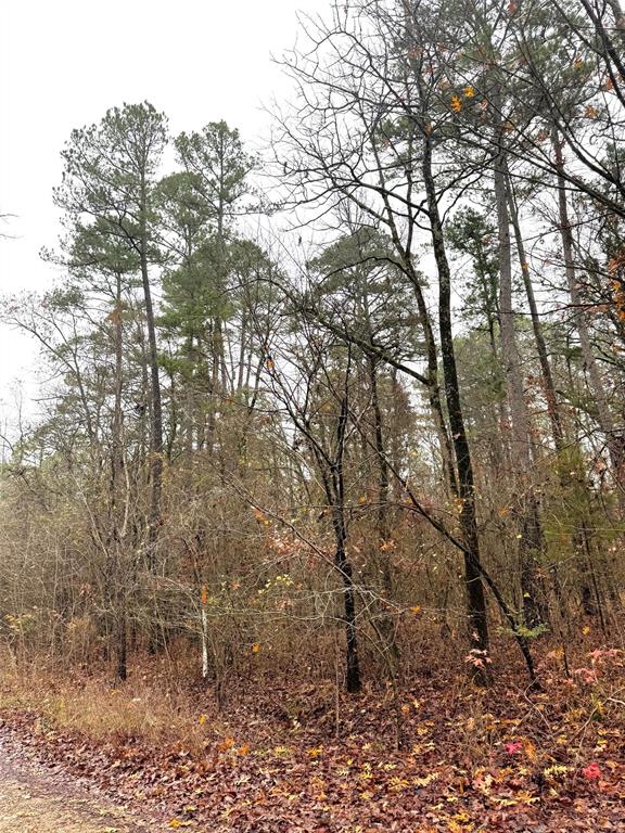 Land in Broken Bow 5