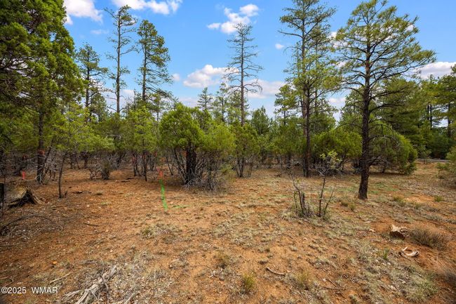 4021WRedtwigLn-ShowLow-AZ-2 | Image 31
