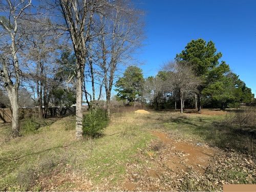 Lot 7 Berrycreek Cir, Frankston, TX, 75763 | Card Image