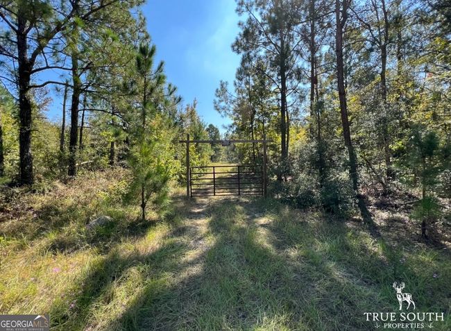 0 John S Horton Rd, Home with 0 bedrooms, 0 bathrooms and null parking in Adrian GA | Image 17
