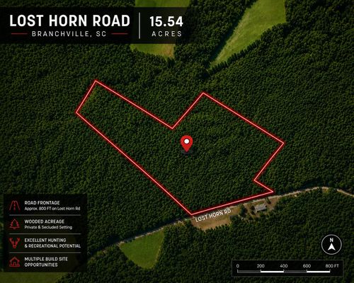 1 Lost Horn Road, Branchville, SC, 29432 | Card Image