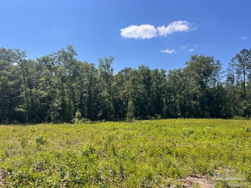 Lot 14-C Highway 29 N, Molino, FL, 32577 | Card Image