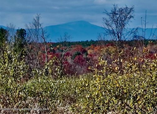 00 Manor Rock Road, Elizaville, NY, 12523 | Card Image