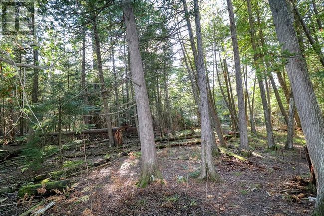 98 Steven St, Home with 0 bedrooms, 0 bathrooms and null parking in Gore Bay ON | Image 20