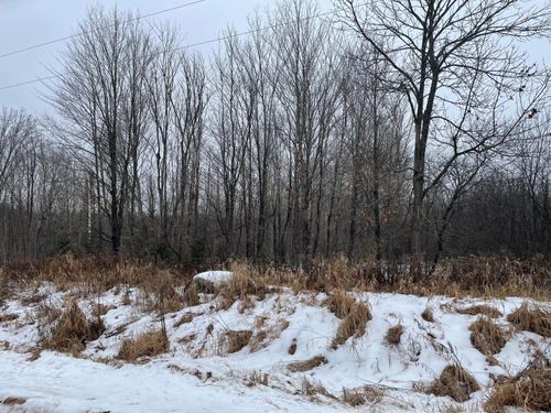 30-acres-ON Weinberger Rd, BUTTERNUT, WI, 54514 | Card Image