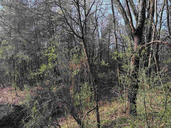 10321 W 750 N, Home with 0 bedrooms, 0 bathrooms and null parking in Jasonville IN | Image 18