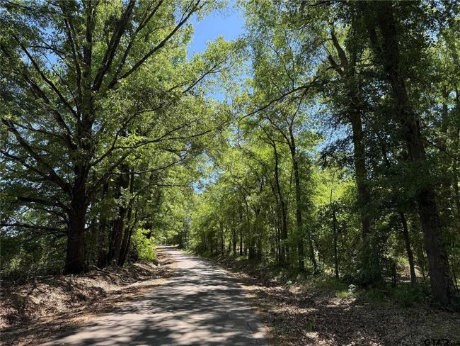 72 Acres N Farm Road 900, Home with 0 bedrooms, 0 bathrooms and null parking in Saltillo TX | Image 35