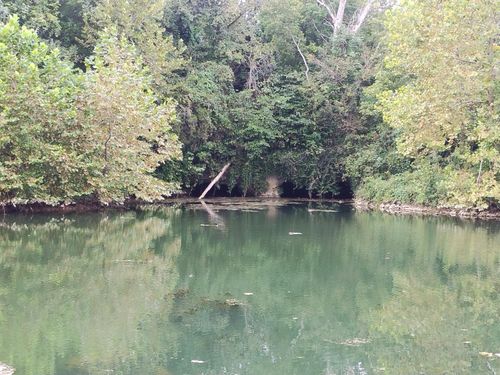 357a E Rolla St, Hartville, MO, 65667-8205 | Card Image