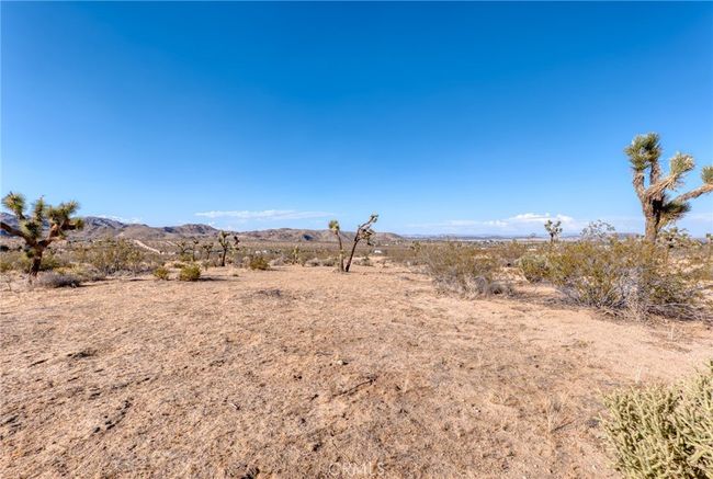 107 Juniper Rd, Home with 0 bedrooms, 0 bathrooms and null parking in Joshua Tree CA | Image 10