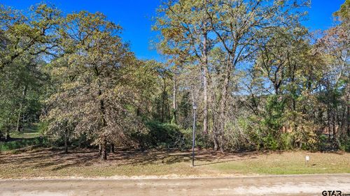 8831 Wilder Trl, Tyler, TX, 75703 | Card Image
