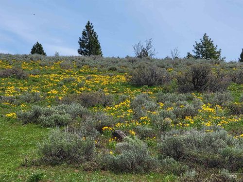 TBD Tbd, Cambridge, ID, 83610 | Card Image