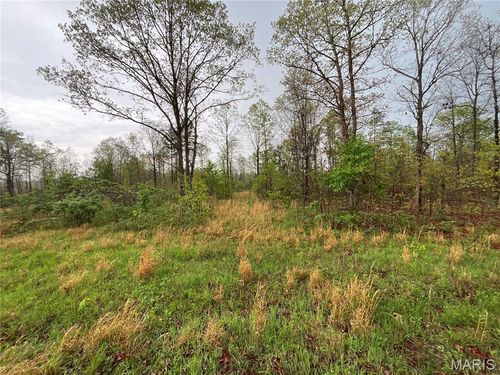 Lot 9 Lake Way, Winona, MO, 65588 | Card Image