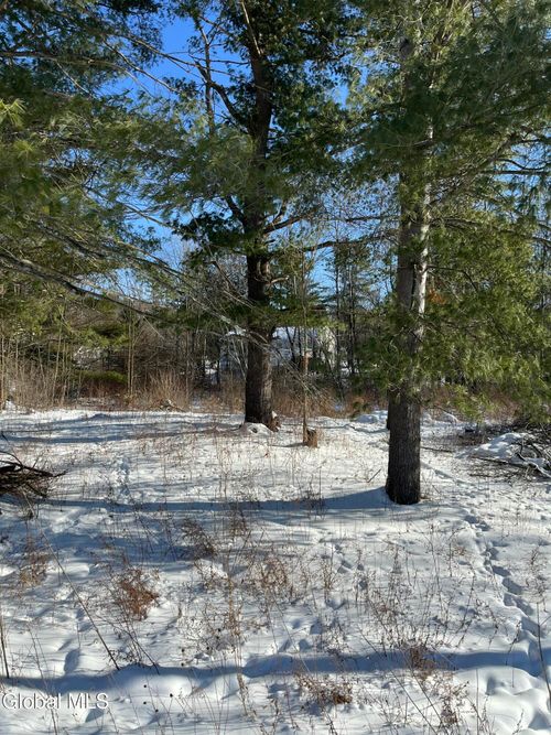 L1 Griffin Ave, Hoosick Falls, NY, 12090 | Card Image