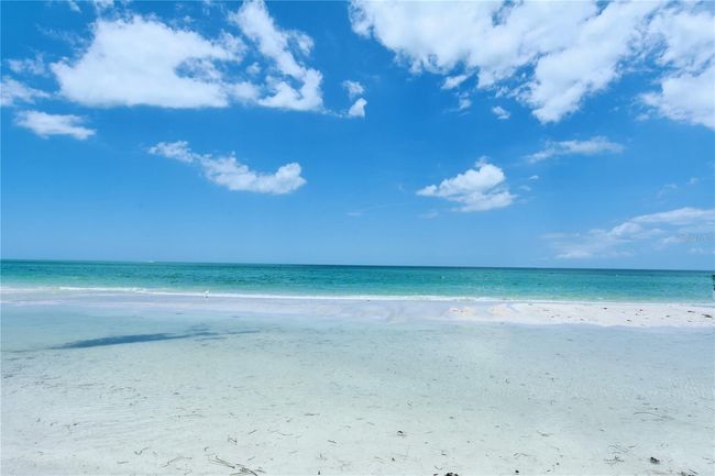 Sparkling Gulf of Mexico | Image 37