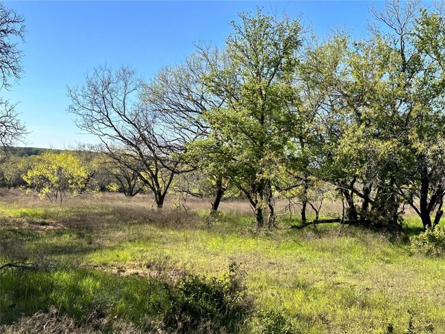 Lot 13 Cr 127, Home with 0 bedrooms, 0 bathrooms and null parking in Carlton TX | Image 25