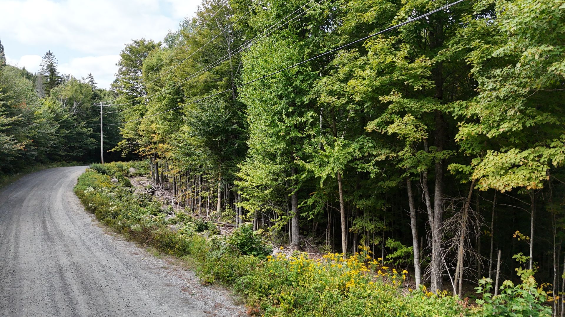 Land in Sainte-Agathe-des-Monts 3