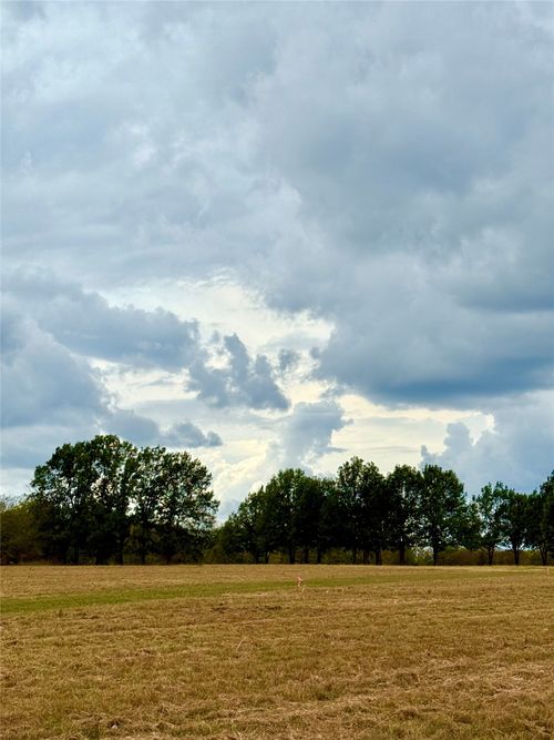 TBD Lot 8 Vz County Road 3811, Wills Point, TX, 75169 | Card Image