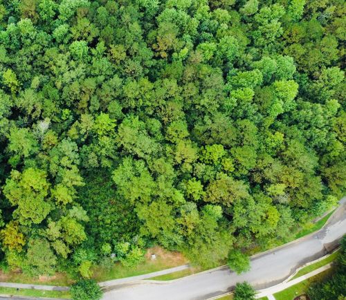 161 Bellegrass Blvd, Hattiesburg, MS, 39402-1908 | Card Image