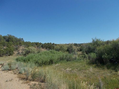 12023 County Road 12, Dove Creek, CO, 81324 | Card Image