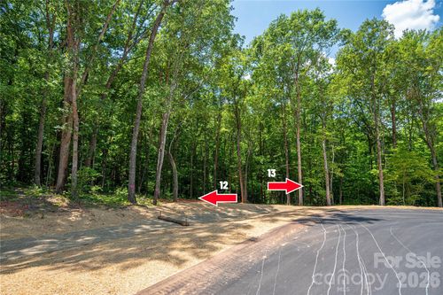 13-6220 Pineside Drive, Denver, NC, 28037 | Card Image