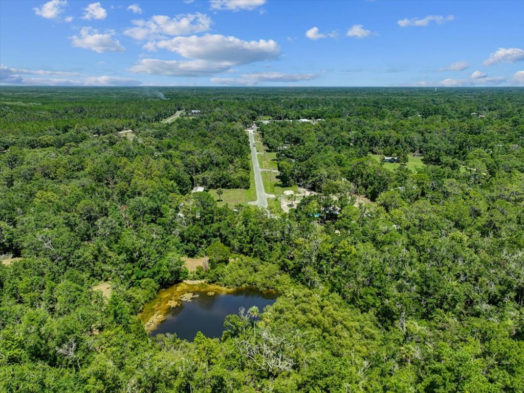 Land in Steinhatchee 4