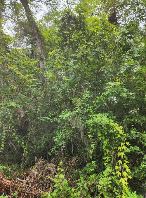 7 5th Street, Santa Rosa Beach, FL, 32459 | Card Image