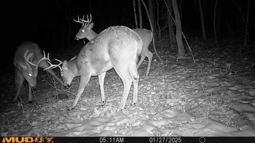 0 Shannon Rd, Frazeysburg, OH, 43822 | Card Image