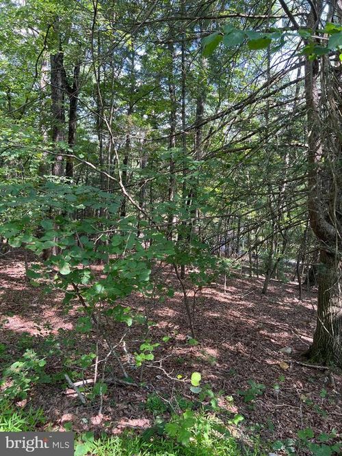 0 Crab Apple Rd, MOUNT JACKSON, VA, 22842 | Card Image