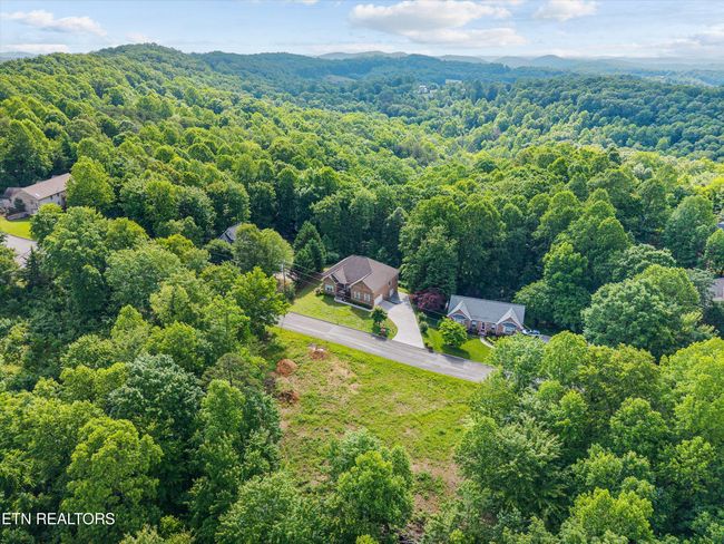 211 Timberland Trail Ln, House other with 3 bedrooms, 2 bathrooms and null parking in Rocky Top TN | Image 40