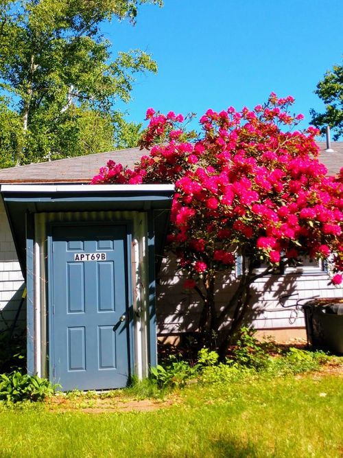 b-69 Piscataqua Road, Durham, NH, 03824 | Card Image