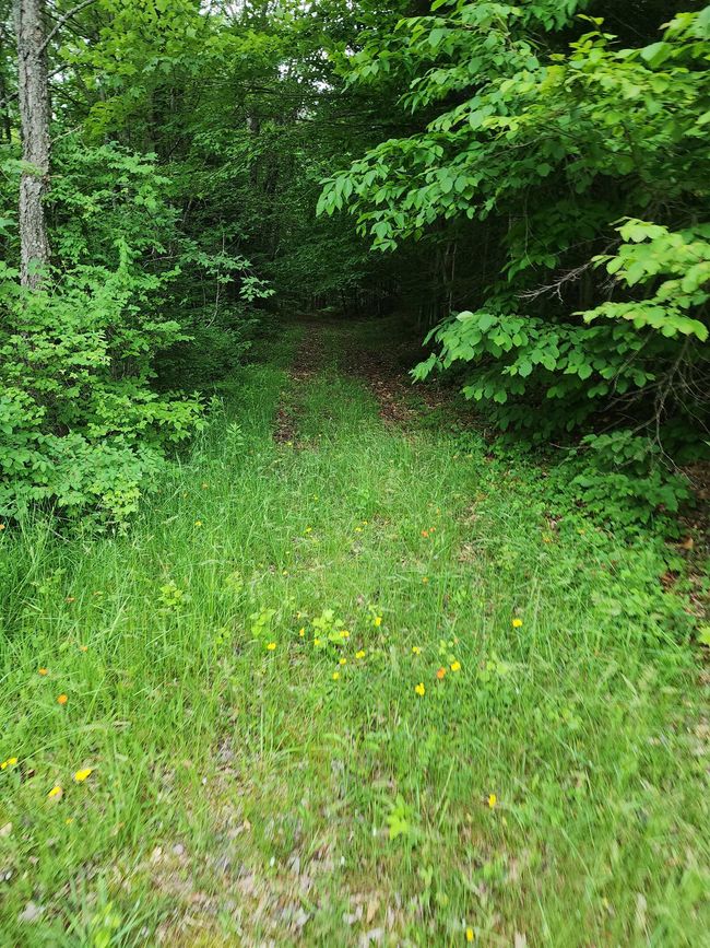 Behind the barn. | Image 48