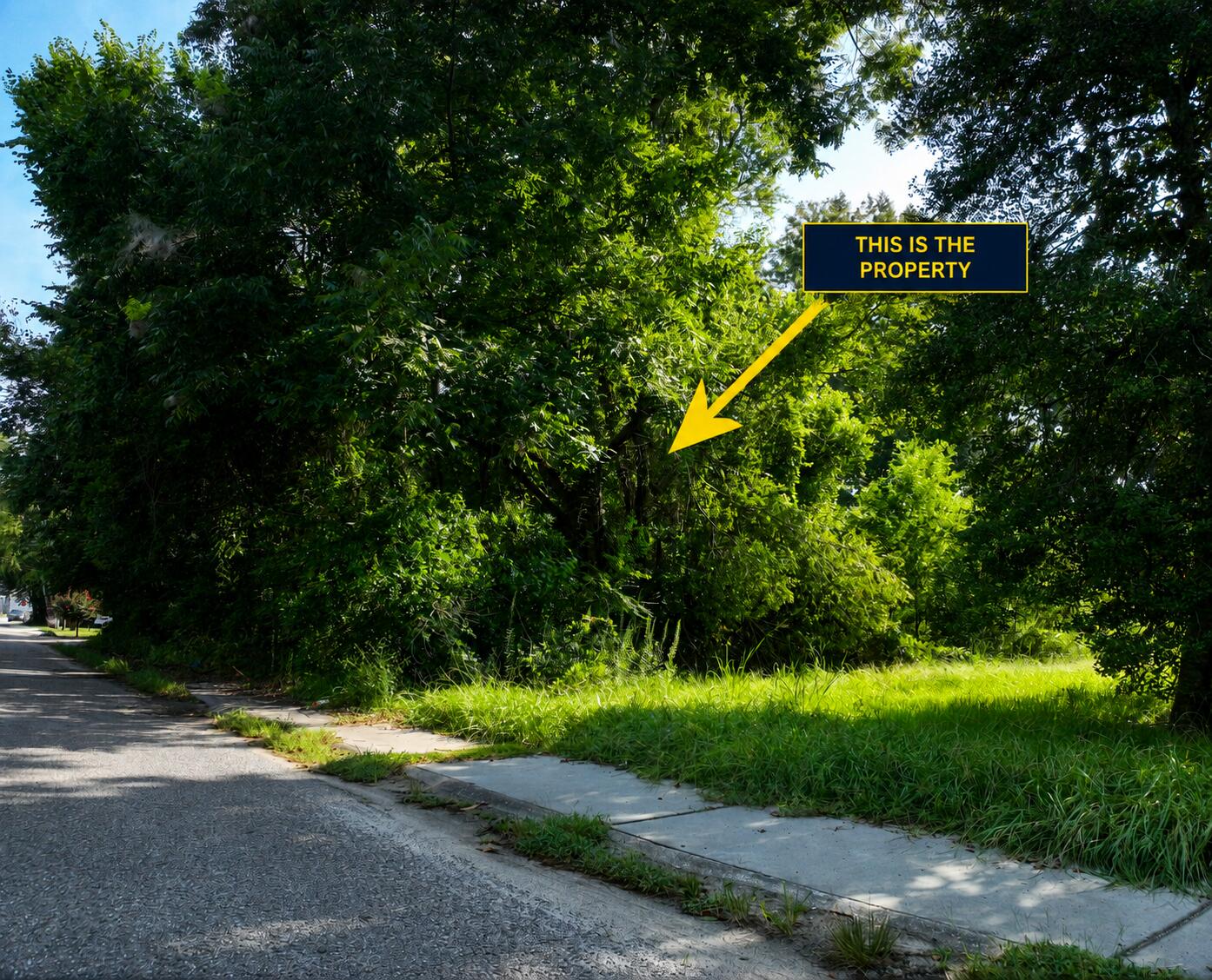 Land in Walterboro 3