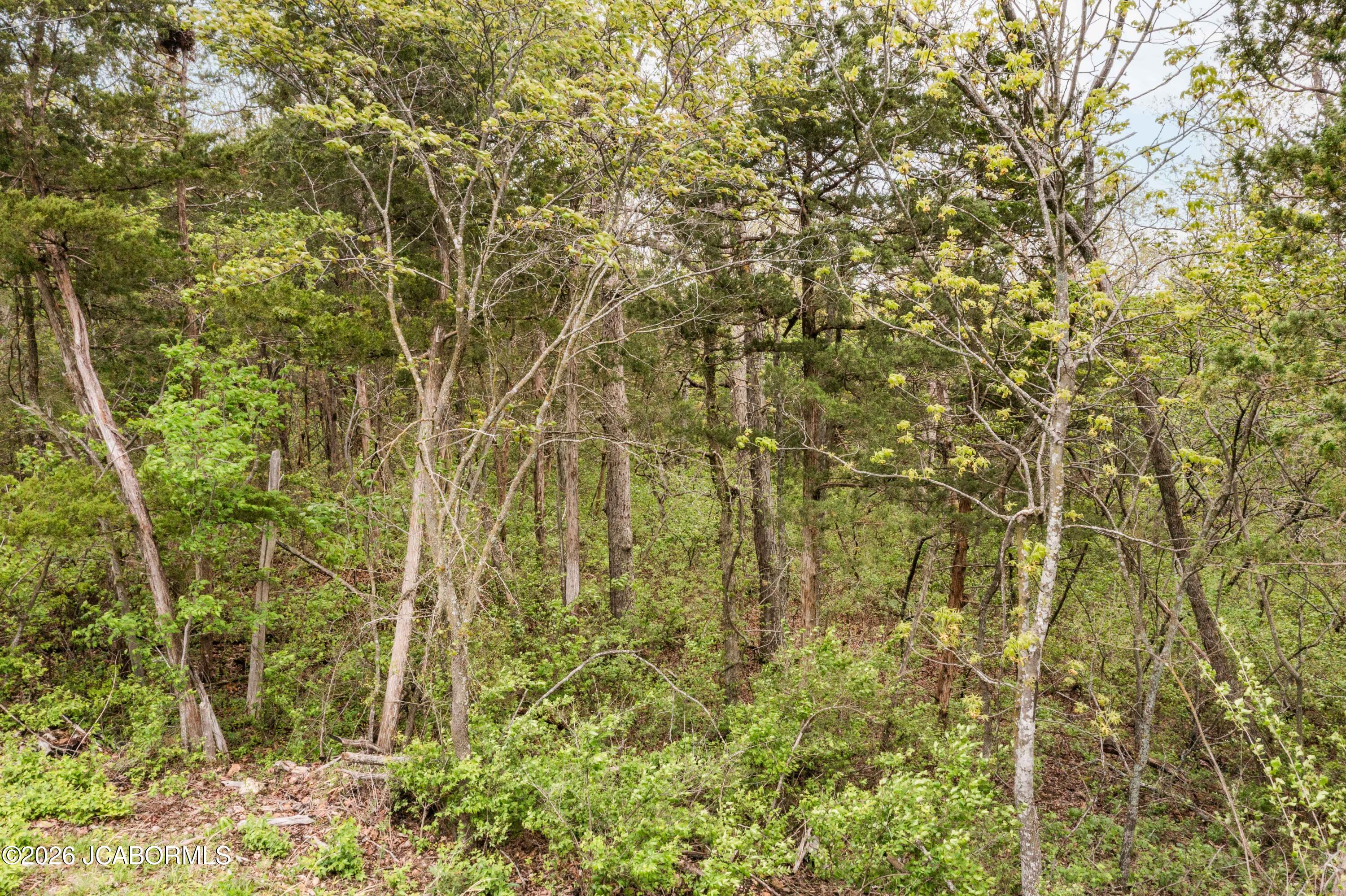 Land in Lohman 4
