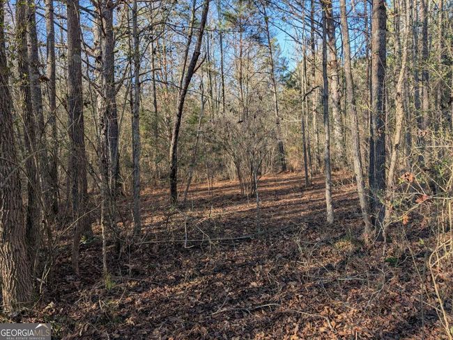 0 Ridgeway Rd, Home with 0 bedrooms, 0 bathrooms and null parking in Trion GA | Image 30