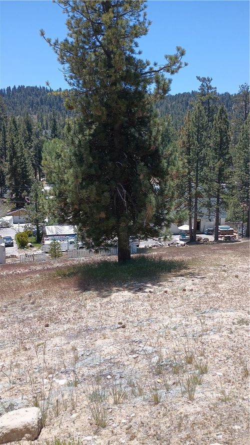 39237 Crest Ln, Big Bear Lake, CA, 92315-2384 | Card Image