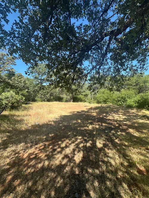 17232 Golden Arrow Trail, Rackerby, CA, 95972 | Card Image