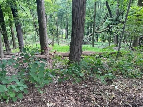 2215 Linwood Dr, Allison Park, PA, 15101-3536 | Card Image